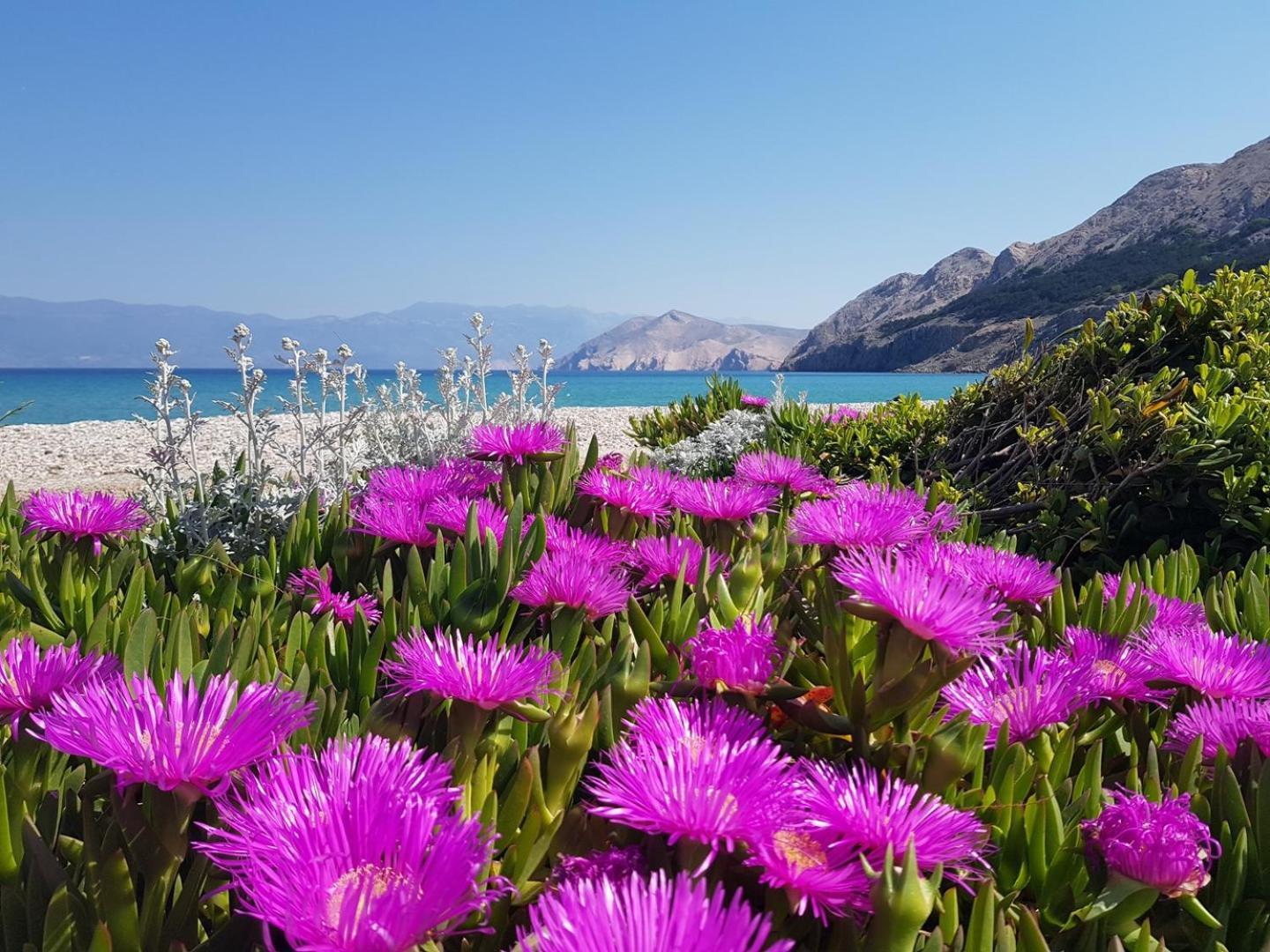 Apartments Mikulan Beach Baska  Bagian luar foto